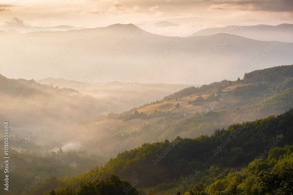 Serene landscape of Tara valley at sunrise, with fog rolling over the mountains and soft sunlight illuminating the scenery, perfect for nature lovers and travelers. Serene landscape of Tara valley at sunrise, with fog rolling over the mountains and soft sunlight illuminating the scenery, perfect for nature lovers and travelers.