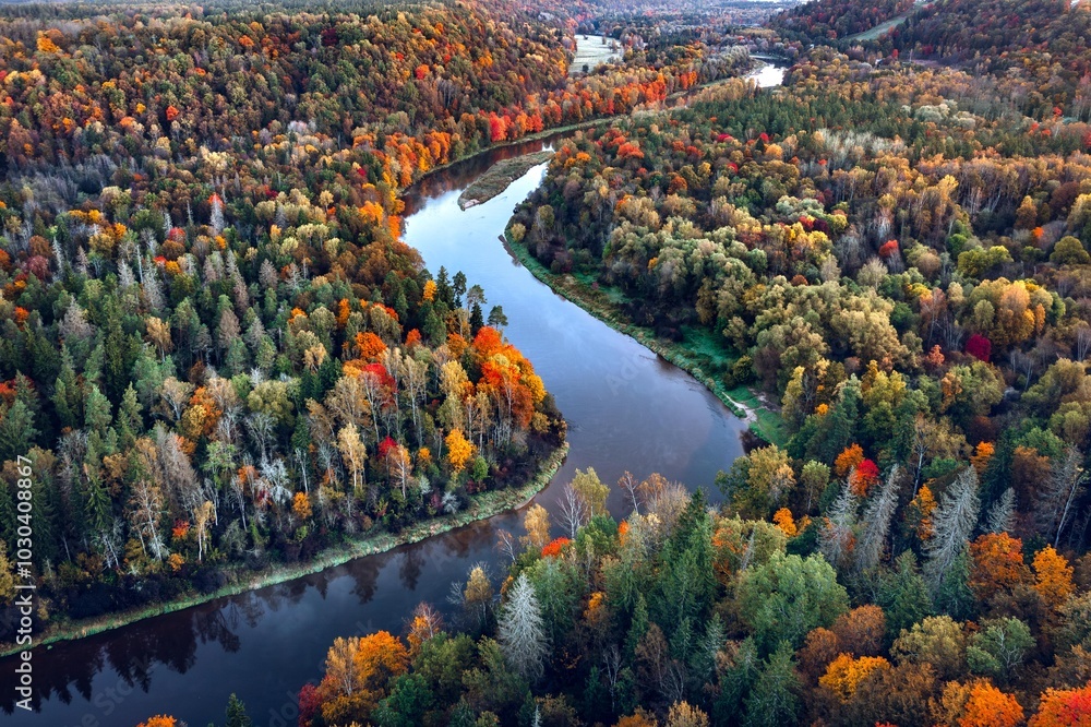 Colorful sunrise over the Gauja National park valley. Sigulda city panorama from drone with forest in autumn colors.