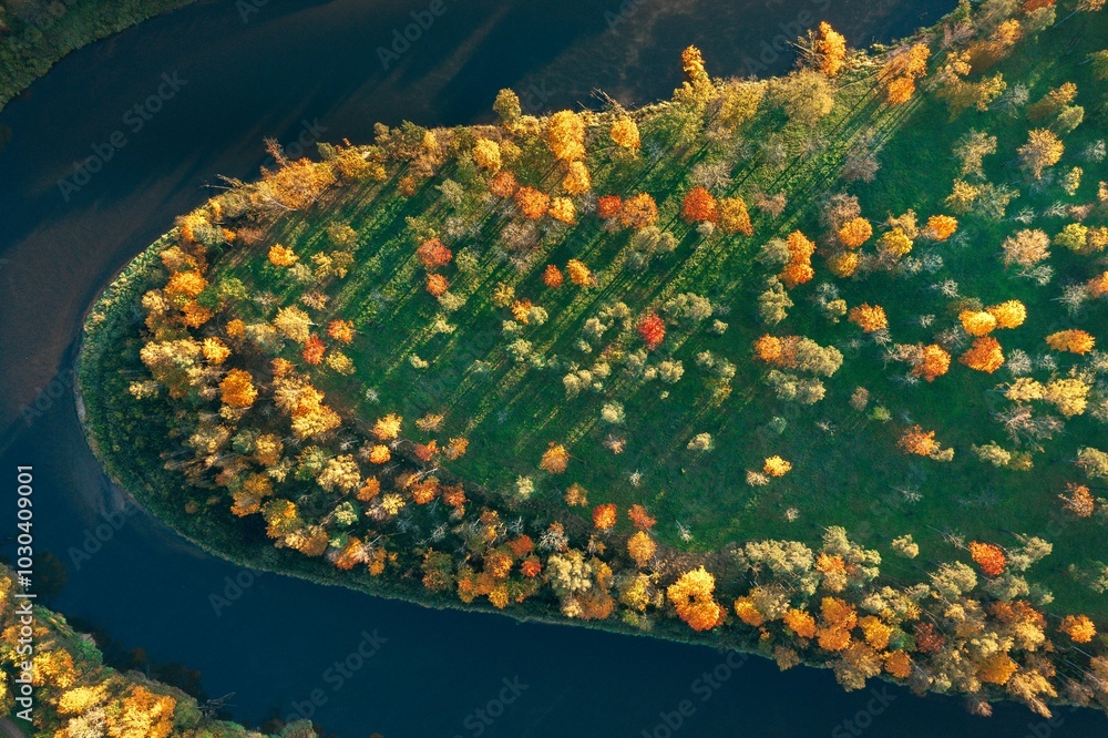 Colorful sunrise over the Gauja National park valley. Sigulda city panorama from drone with forest in autumn colors.