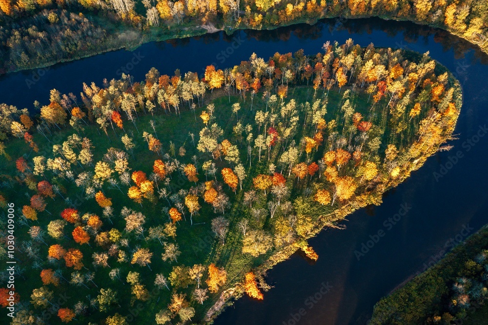 Colorful sunrise over the Gauja National park valley. Sigulda city panorama from drone with forest in autumn colors.