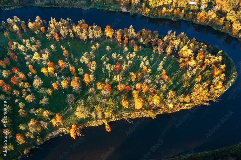 Colorful sunrise over the Gauja National park valley. Sigulda city panorama from drone with forest in autumn colors.