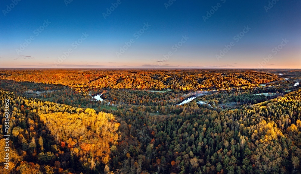 Colorful sunrise over the Gauja National park valley. Sigulda city panorama from drone with forest in autumn colors.