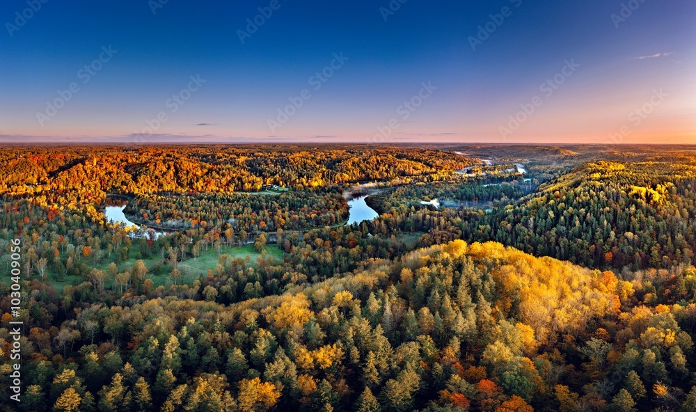 Colorful sunrise over the Gauja National park valley. Sigulda city panorama from drone with forest in autumn colors.