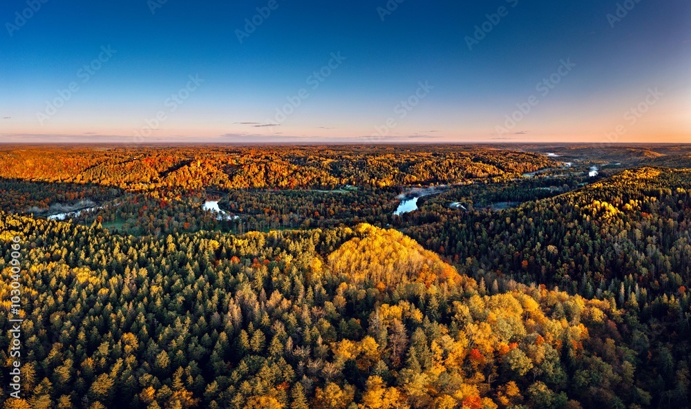 Colorful sunrise over the Gauja National park valley. Sigulda city panorama from drone with forest in autumn colors.