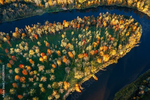 Obraz na płótnie Colorful sunrise over the Gauja National park valley. Sigulda city panorama from drone with forest in autumn colors. w salonie