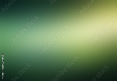 Dark green muted color blur empty background. Soft light.