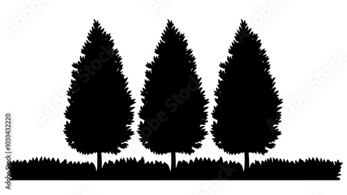 Arborvitae trees forming a dense green windbreak along the edge of a property, vector illustration art