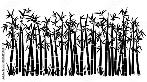 Bamboo grove with tall culms grown for construction material, vector illustration art