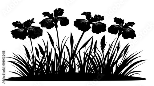Bearded iris plant with several open flowers in a flowerbed, vector illustration art