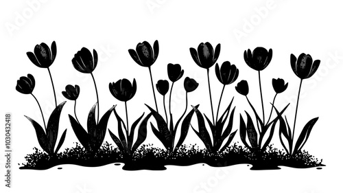 A bed of single tulips growing in uniform rows in an outdoor garden, vector illustration art