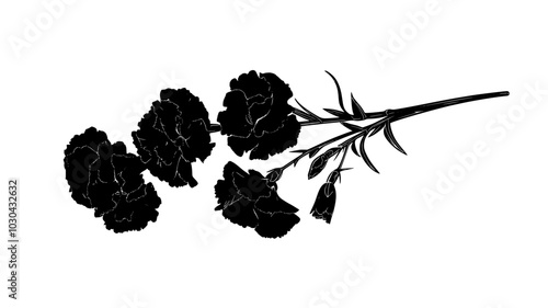 Bouquet of cut perpetual carnations lying flat on a smooth surface, vector illustration art