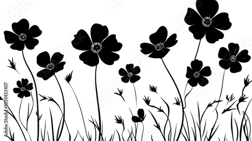 Cosmos swaying in the breeze in a wildflower meadow, vector illustration art