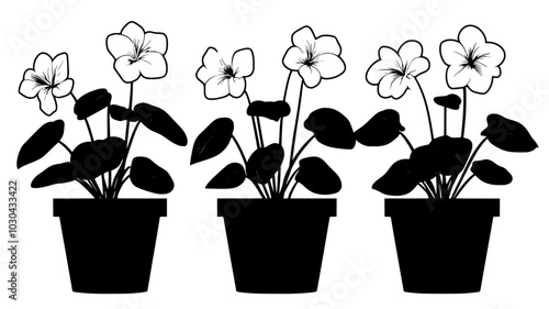 Cyclamens growing in planters near a home entrance during winter, vector illustration art