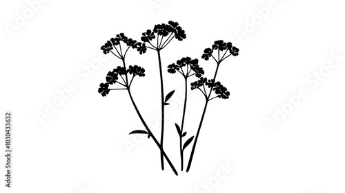A dense clump of small, tightly packed flowers on a short stalk, vector illustration art