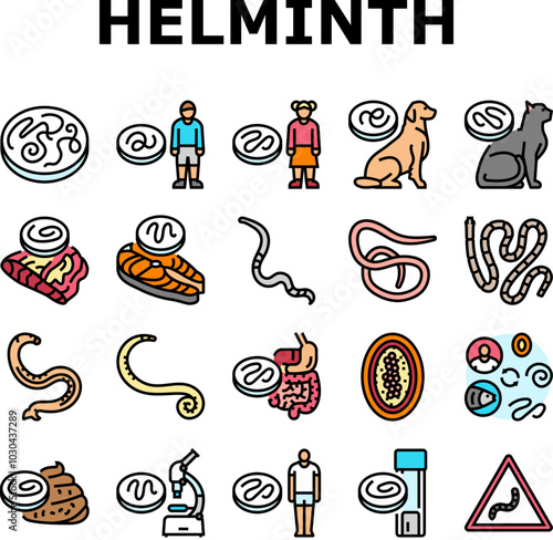 helminth worm parasite roundworm icons set vector. dog tapeworm, heart helminth ascaris, internal cat, nematode pet, pinworm giardia helminth worm parasite roundworm color line illustrations