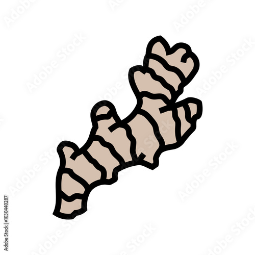 ginger root ayurvedic herb color icon vector. ginger root ayurvedic herb sign. isolated symbol illustration