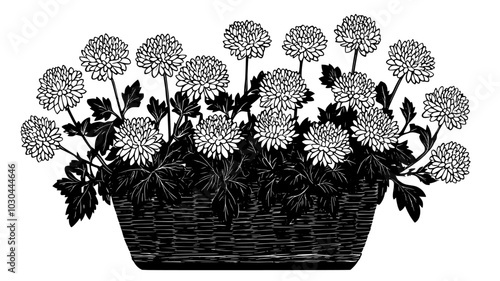 Arrangement of chrysanthemums in a basket at a reception, vector illustration art