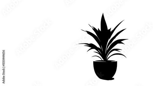 An indoor potted bromeliad resting on a windowsill in a modern apartment, vector illustration art