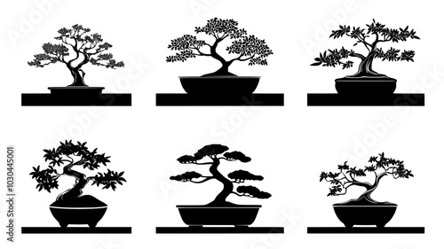Bonsai trees in pots on display shelves, vector illustration art