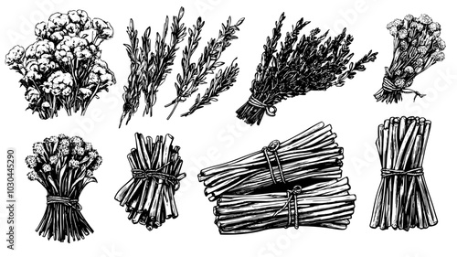 Bundles of dried flowers tied with twine on a rustic table, vector illustration art