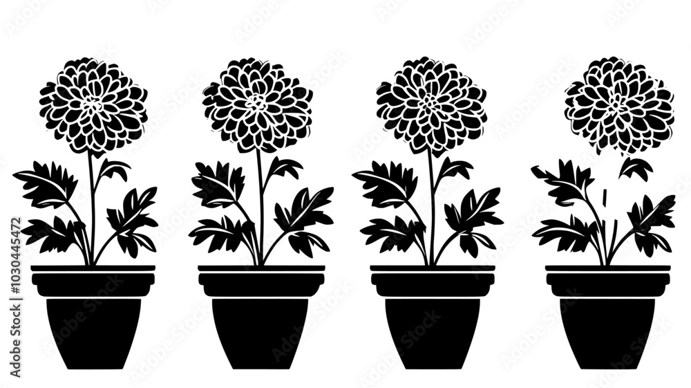 Fototapeta premium Chrysanthemums arranged upright in clusters in a planter, vector illustration art
