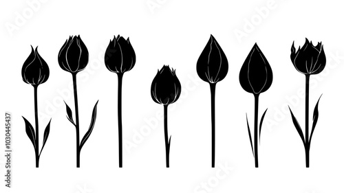 Chocolate cosmos buds in various stages of opening, vector illustration art