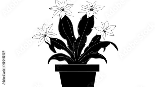 Christmas cactus with flat, segmented stems and flowers at the tips, vector illustration art