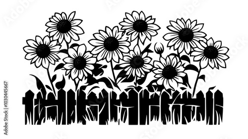 Cluster of black-eyed Susans in a perennial garden near a wooden fence, vector illustration art