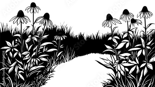 Coneflowers in a meadow garden with decomposed granite paths, vector illustration art