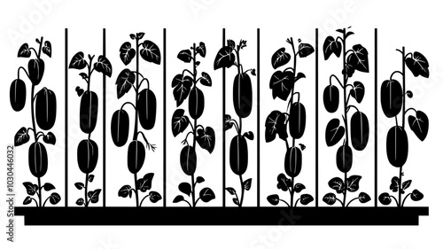 Cucumber plants climbing trellises in a nutrient film technique setup, vector illustration art