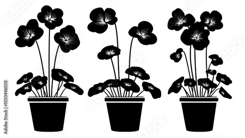 Cyclamens growing in planters near a home entrance during winter, vector illustration art