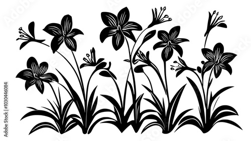 Daylily plants with multiple flower stalks in a garden, vector illustration art