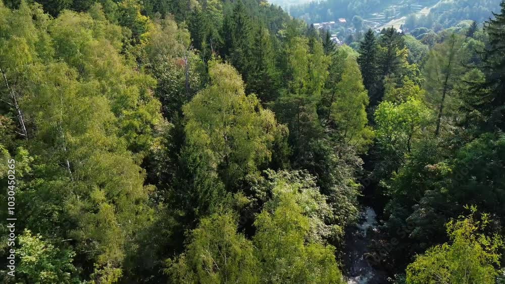 Mountain river, view from above, Karpacz, Poland Mountain river, view from above, Karpacz, Poland