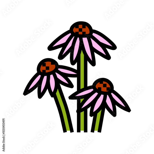 echinacea ayurvedic herb color icon vector. echinacea ayurvedic herb sign. isolated symbol illustration