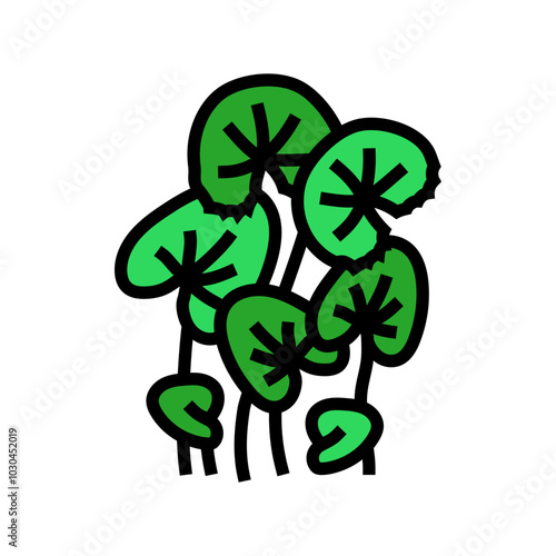 gotu kola ayurvedic herb color icon vector. gotu kola ayurvedic herb sign. isolated symbol illustration