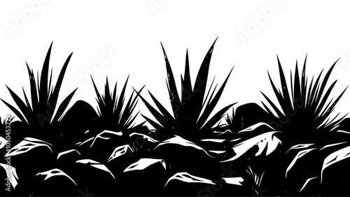 Agave plants growing on a rocky hillside in an arid landscape, vector illustration art