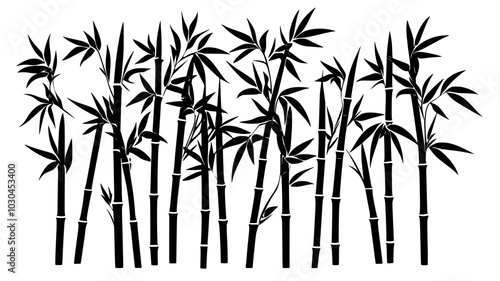 Bamboo grove with tall, segmented stems and narrow leaves, vector illustration art