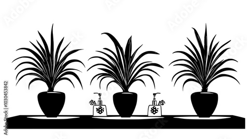 Bromeliads with central flower spikes on a bathroom counter, vector illustration art