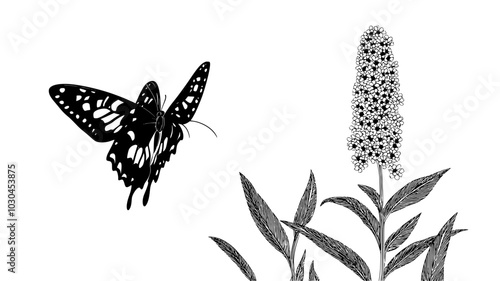 Butterfly bush covered in panicles of tiny blooms, vector illustration art