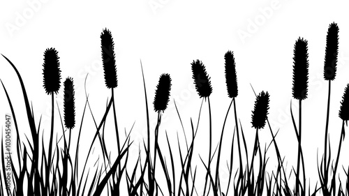 Cattail with long, slender leaves and brown, cylindrical flower spikes, vector illustration art