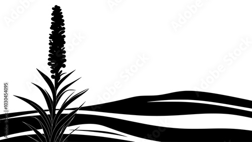 Century plant with a tall flower stalk in the sand, vector illustration art