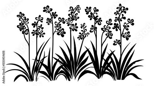 Crocosmia plants with sword-like leaves and tubular flowers, vector illustration art
