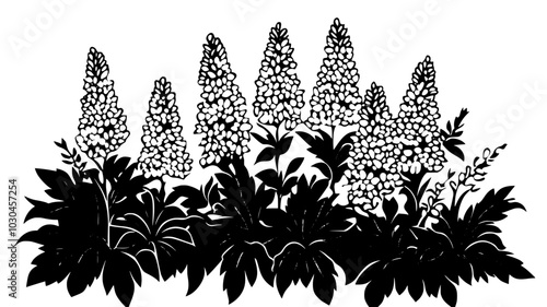 Astilbe flowers blooming in a shaded area of a backyard garden with dense foliage, vector illustration art