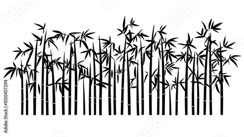 Bamboo grove with tall culms grown for construction material, vector illustration art