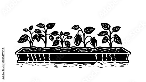 Bell peppers in raised beds irrigated by catfish tank overflow, vector illustration art