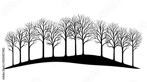 Beech tree with smooth bark in a winter woodland, vector illustration art