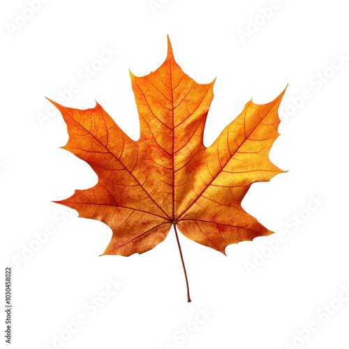 Wallpaper Mural fallen maple leaf, autumn element, hyper-realistic photography, rich red and orange hues Torontodigital.ca