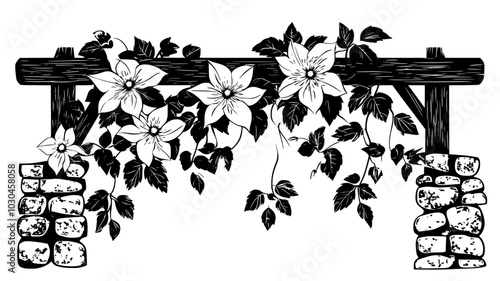 Climbing clematis on a wooden trellis against a stone wall, vector illustration art