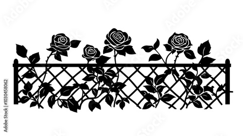 Climbing rose ascending a trellis in a formal garden, vector illustration art