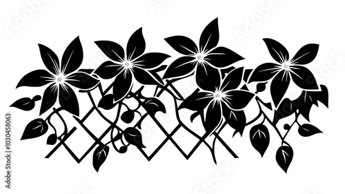 Clematis with large flowers climbing on a trellis with tendrils, vector illustration art